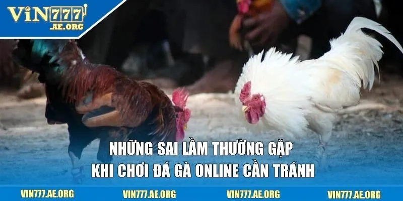 chơi đá gà online