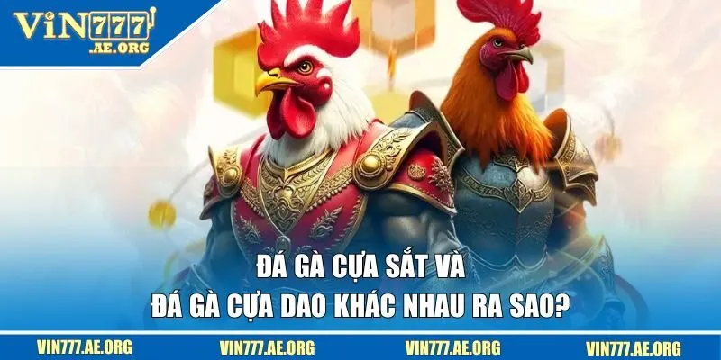 Đá gà cựa sắt